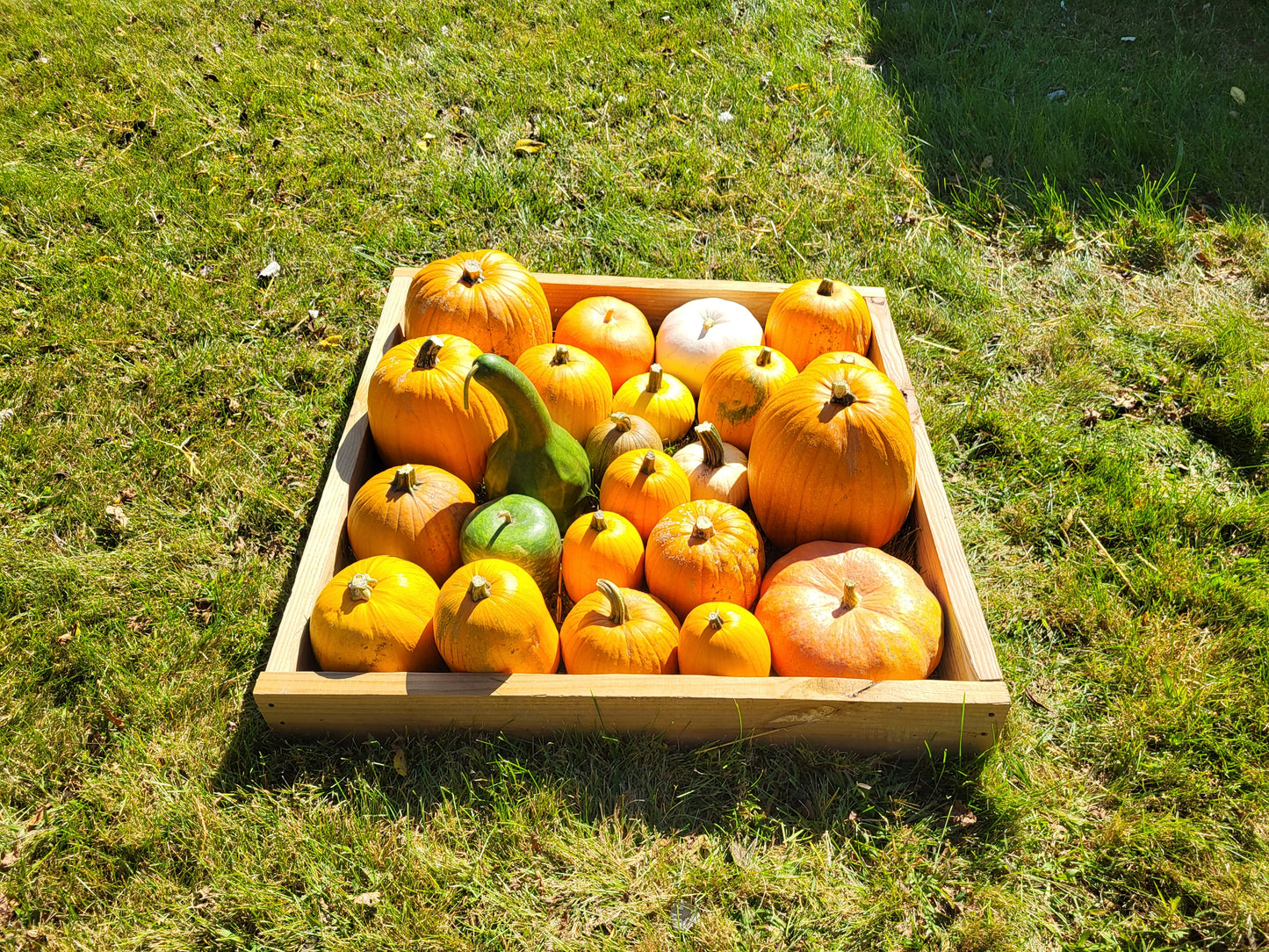 Hodgepodge 3x3